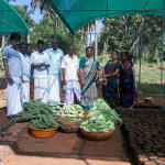 Pachakkari Vilaveduppe