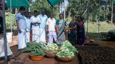 Pachakkari Vilaveduppe
