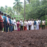 കരനെൽ കൃഷി വിത്തിടൽ