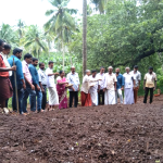 കരനെൽ കൃഷി വിത്തിടൽ