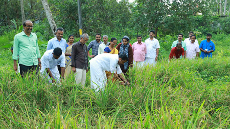 കരനെൽ കൃഷി കൊയ്ത്തുൽഘാടനം